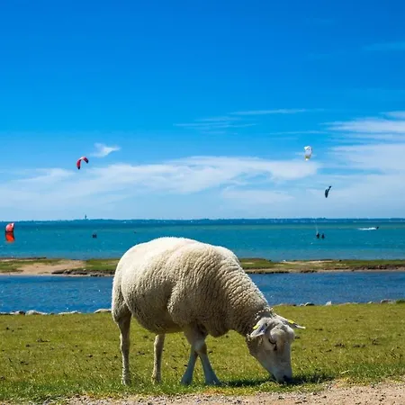 Ferienwohnung-mansarde Petersdorf auf Fehmarn